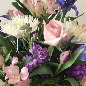 Meet your Posher, Staccijo